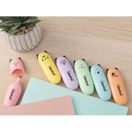 Evidenziatore mini wild & cute colourbook