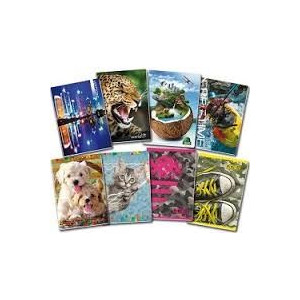 Maxi quaderno fantasia - rigo Q(4-5 elementare) 40fg / 80pg con frontespizio