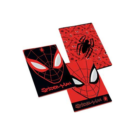 Maxi quaderno Spiderman rig.A(rigo 1-2 elmentare) GR.100  FF.24+1