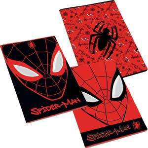 Maxi quaderno Spiderman rig.C (rigo 4-5 elmentare) GR.100  FF.24+1