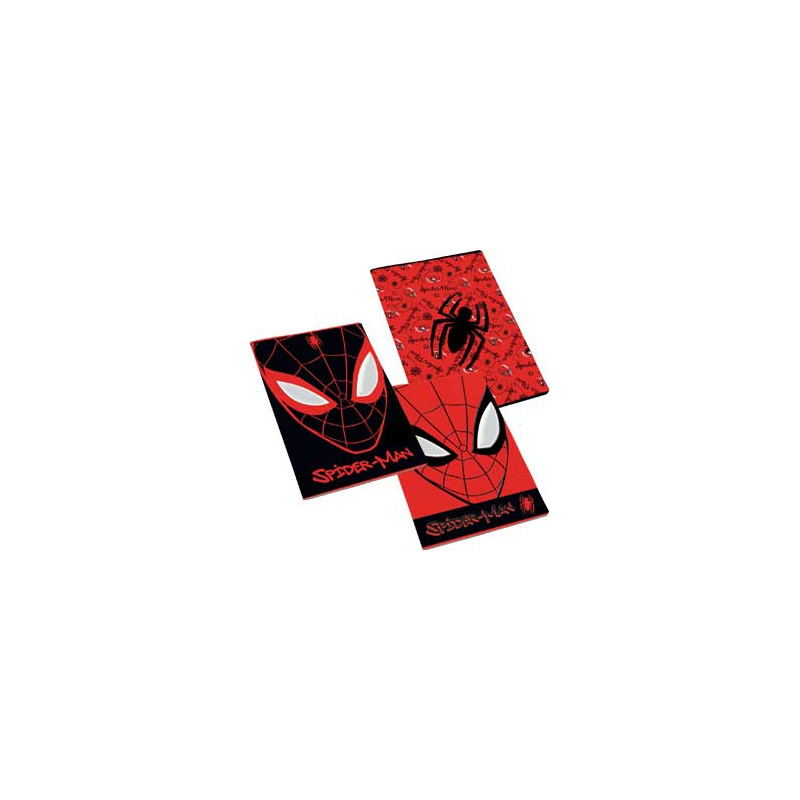 Maxi quaderno Spiderman rig.Q (quadri 4-5 elmentare) GR.100  FF.24+1
