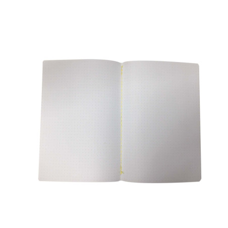Notebook PUNTINATO Natomi iridescente 20fg A5