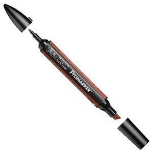 Pantone Promarker Burnt Umber R646