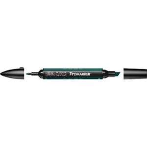 Pantone Promarker Holly G724