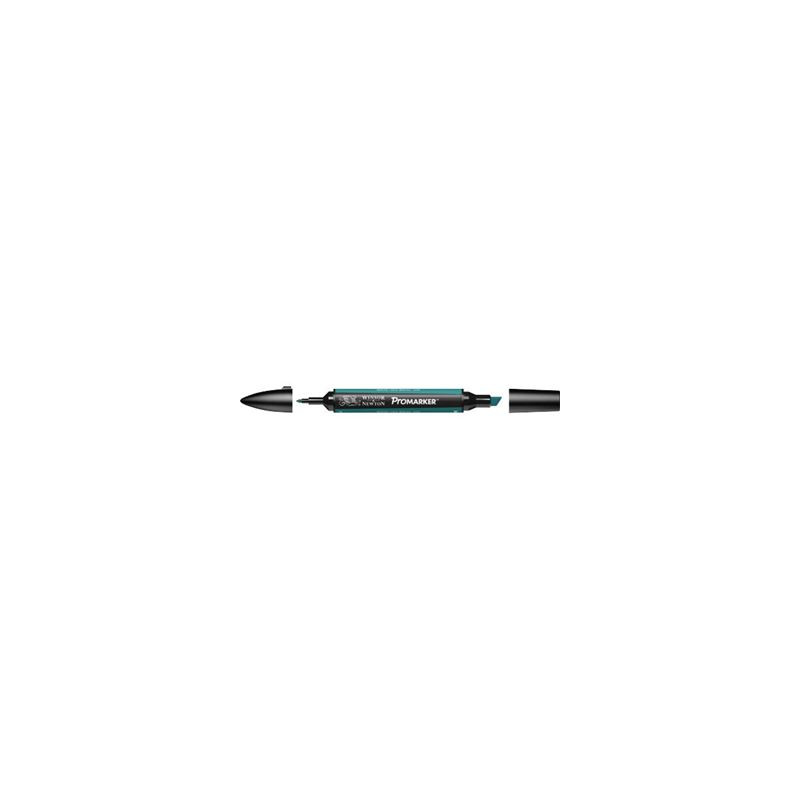 Pantone Promarker Marine C446