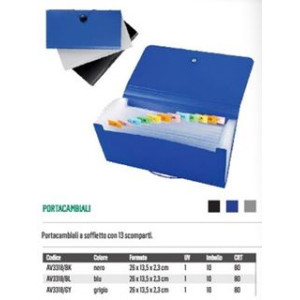 Portadocumenti a soffietto 13 tasche nero