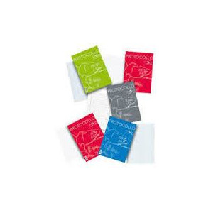 Protocollo rigo C 200fg 80gr