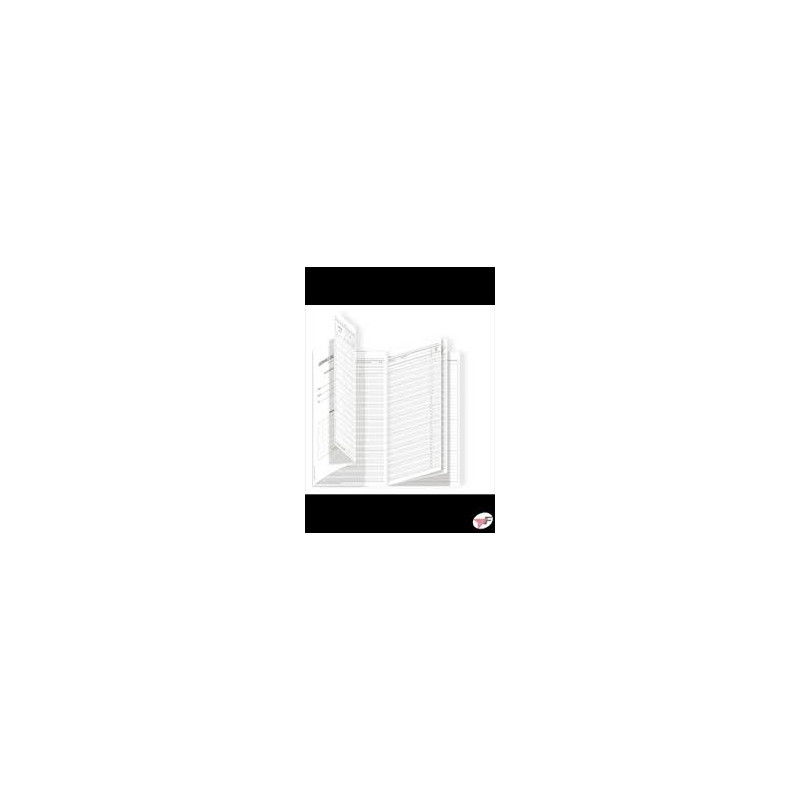 Registro del professore 3 classi 31x17