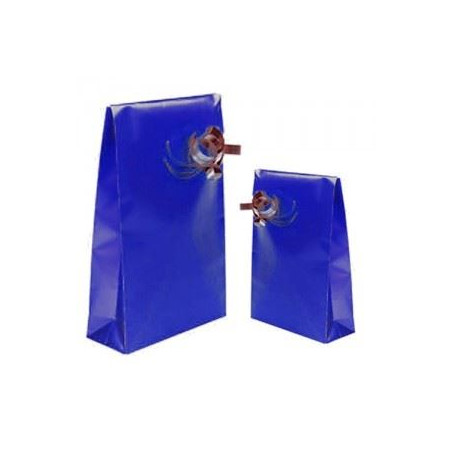 Sacchetti in carta 8X15 BLU