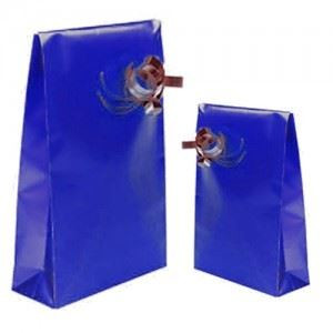 Sacchetti in carta mm130x30x220 blu