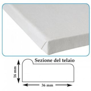 Telaio Tela per pittura 30x60 cwr