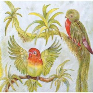 Tovaglioli decoupage 33x33 20pz