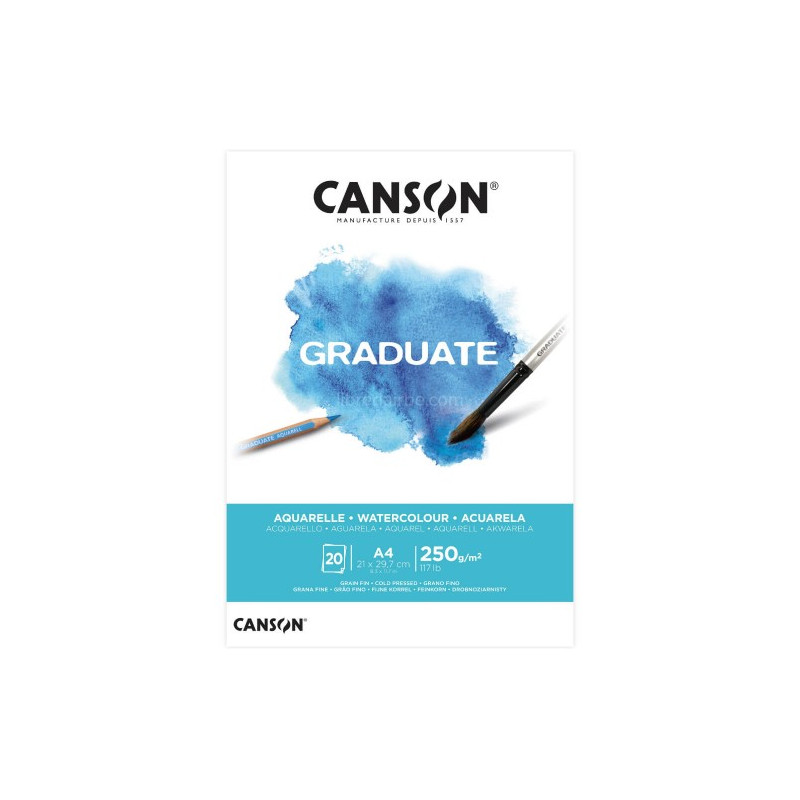Blocco da disegno Graduate Canson 250gr A4 20fg