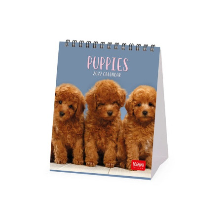 Calendario da scrivania 12x14.5cm 2027 Puppies Legami