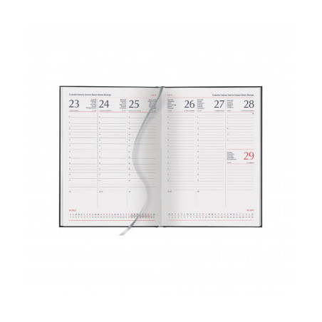 Agenda ricambio interno 17x24 settimanale  2026