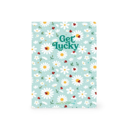Quaderno a Righe B5 con Copertina Rigida Illustrata - Ladybug - LEGAMI