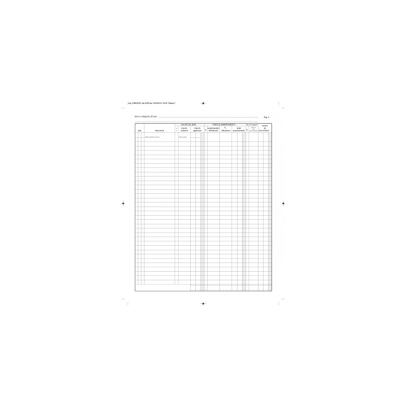 Registro Beni Ammortizzabili 45pg numerate