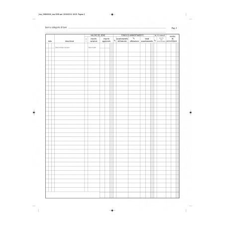 Registro Beni Ammortizzabili 45pg numerate