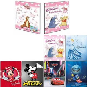 Album foto disney 96 foto 13,5x19